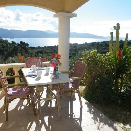 Villa Liamone Studio Fuer 3 Personen , 400 M Vom Strand, Pool, Klimaanlage Сагон Екстериор снимка